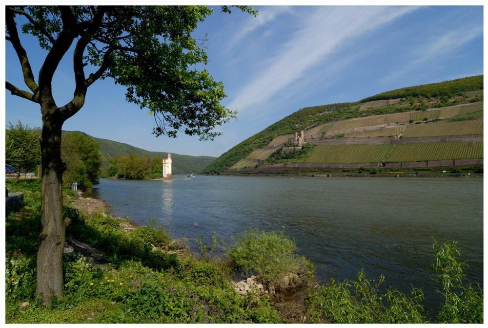 Hotel Cafe Post Ruedesheim am Rhein Ngoại thất bức ảnh